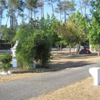 parque-de-campismo-municipal-de-arganil-sarzedo-fk21r