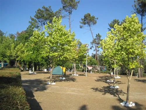parque-de-campismo-municipal-de-arganil-sarzedo-l3jku