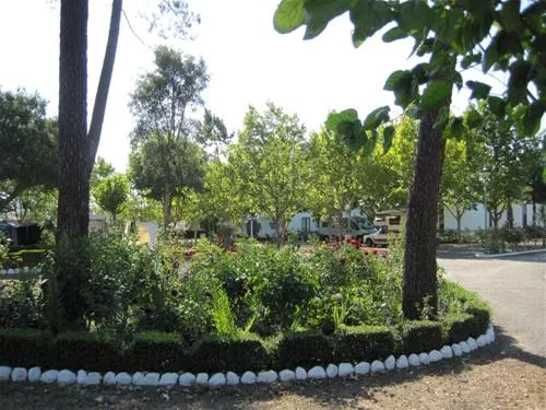 parque-de-campismo-municipal-de-arganil-sarzedo-zi5tx
