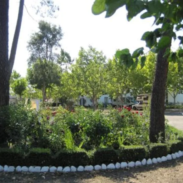 parque-de-campismo-municipal-de-arganil-sarzedo-zi5tx