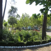 parque-de-campismo-municipal-de-arganil-sarzedo-zi5tx