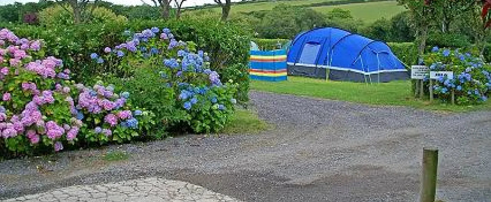 Treloy Touring Park