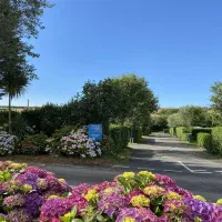 treloy-tourist-park-newquay-qgtzt
