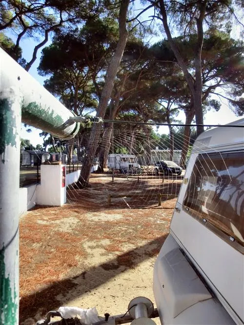 parque-de-campismo-do-escaroupim-salvaterra-de-magos-byyxn