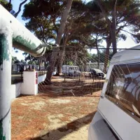 parque-de-campismo-do-escaroupim-salvaterra-de-magos-byyxn