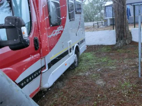 parque-de-campismo-do-escaroupim-salvaterra-de-magos-evysk