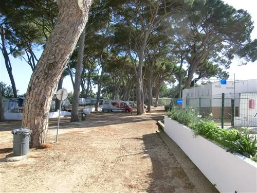 parque-de-campismo-do-escaroupim-salvaterra-de-magos-jyzzu