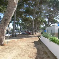 parque-de-campismo-do-escaroupim-salvaterra-de-magos-jyzzu