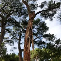 parque-de-campismo-do-escaroupim-salvaterra-de-magos-mbqai