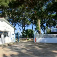 parque-de-campismo-do-escaroupim-salvaterra-de-magos-nloou