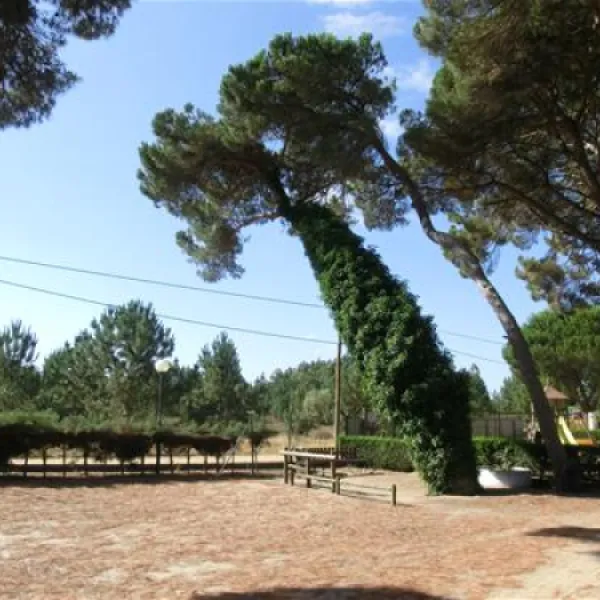 parque-de-campismo-do-escaroupim-salvaterra-de-magos-thj85