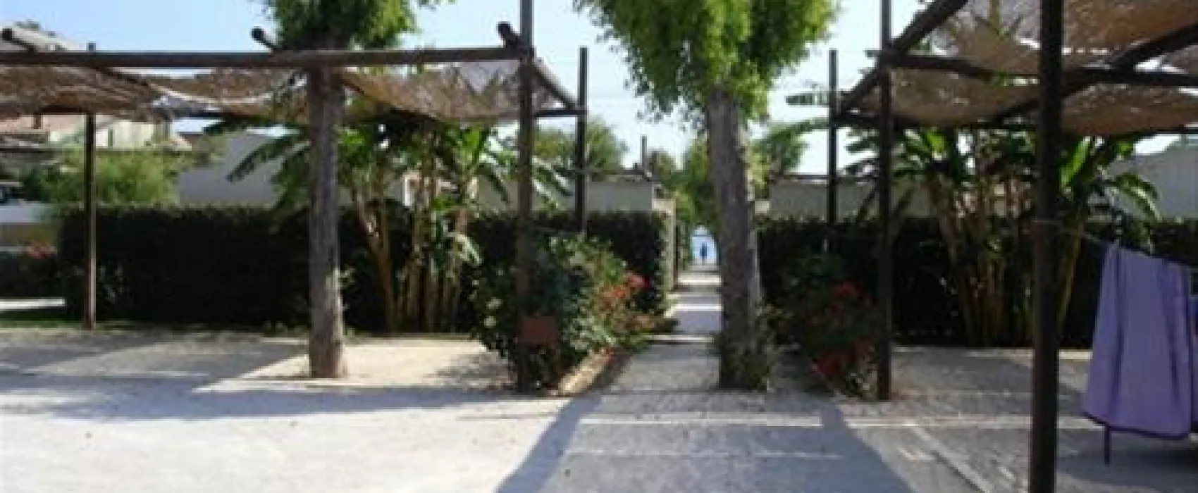 Scarabeo Camping