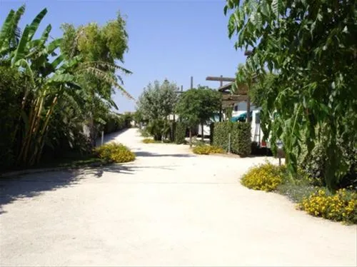 scarabeo-camping-punta-braccetto-nywiy