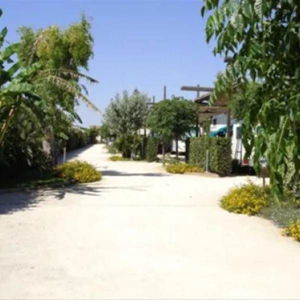 scarabeo-camping-punta-braccetto-nywiy