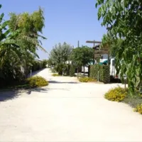 scarabeo-camping-punta-braccetto-nywiy