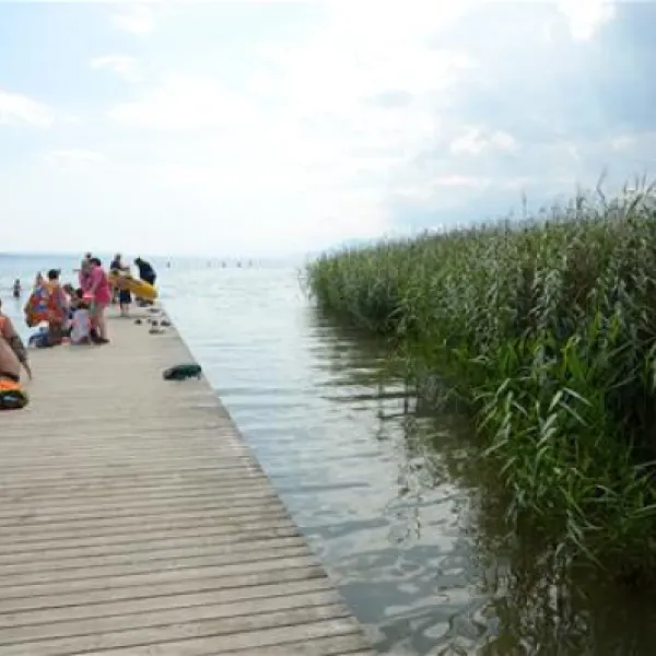 tcs-camping-gampelen-gampelen-iyqbz