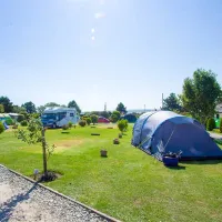 the-laurels-holiday-park-wadebridge-qbj07