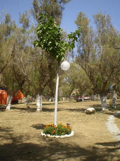 campsite-methoni-methonimessinias-msyi5