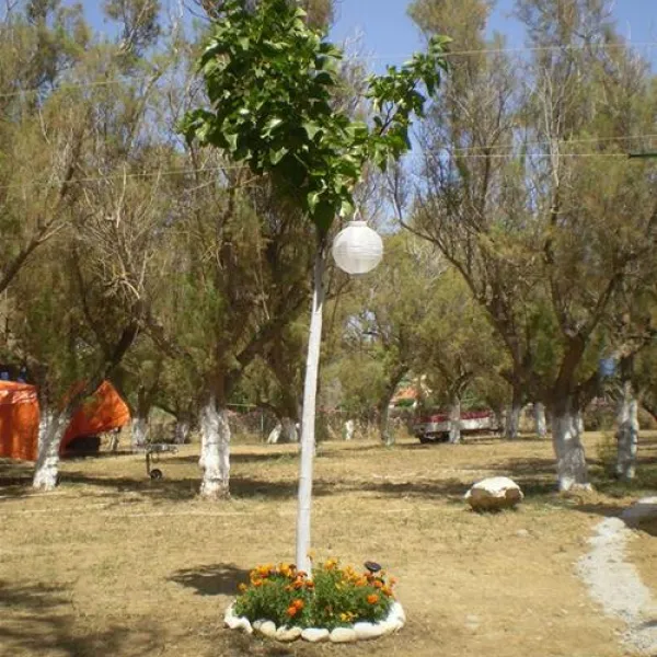 campsite-methoni-methonimessinias-msyi5