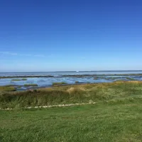 Ballum Camping