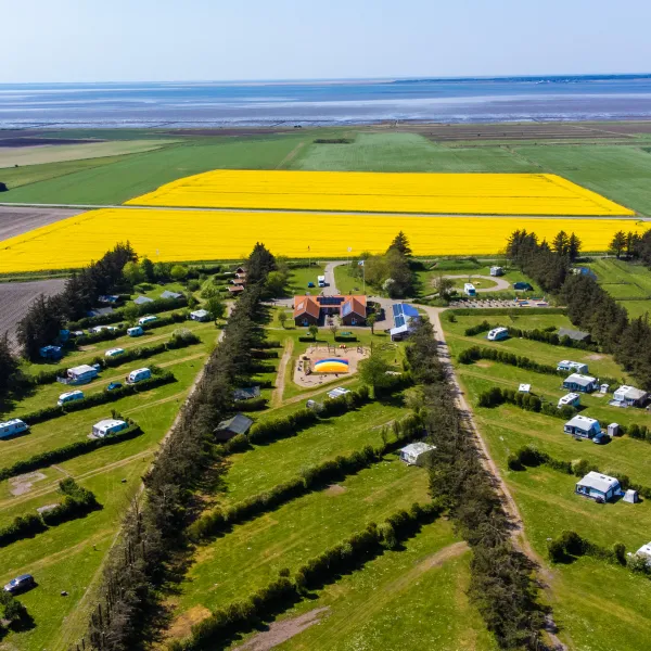 ballum-camping-bredebro-ormqo
