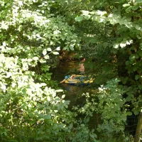 camping-de-lle-doubs-qqloo