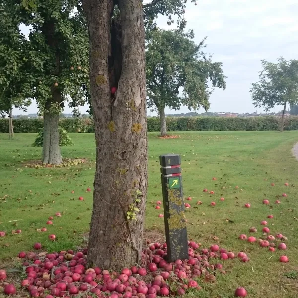 minicamping-de-stropielekker-zaamslag-vuwtk