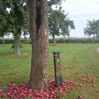 minicamping-de-stropielekker-zaamslag-vuwtk
