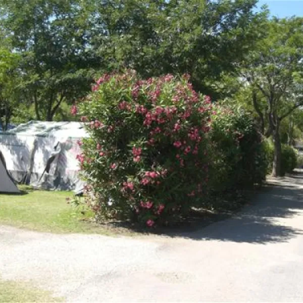 camping-le-soleil-argeles-sur-mer-q2tb1