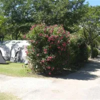 camping-le-soleil-argeles-sur-mer-q2tb1