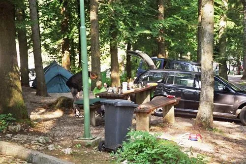 camping-pivka-jama-postojna-dykcl