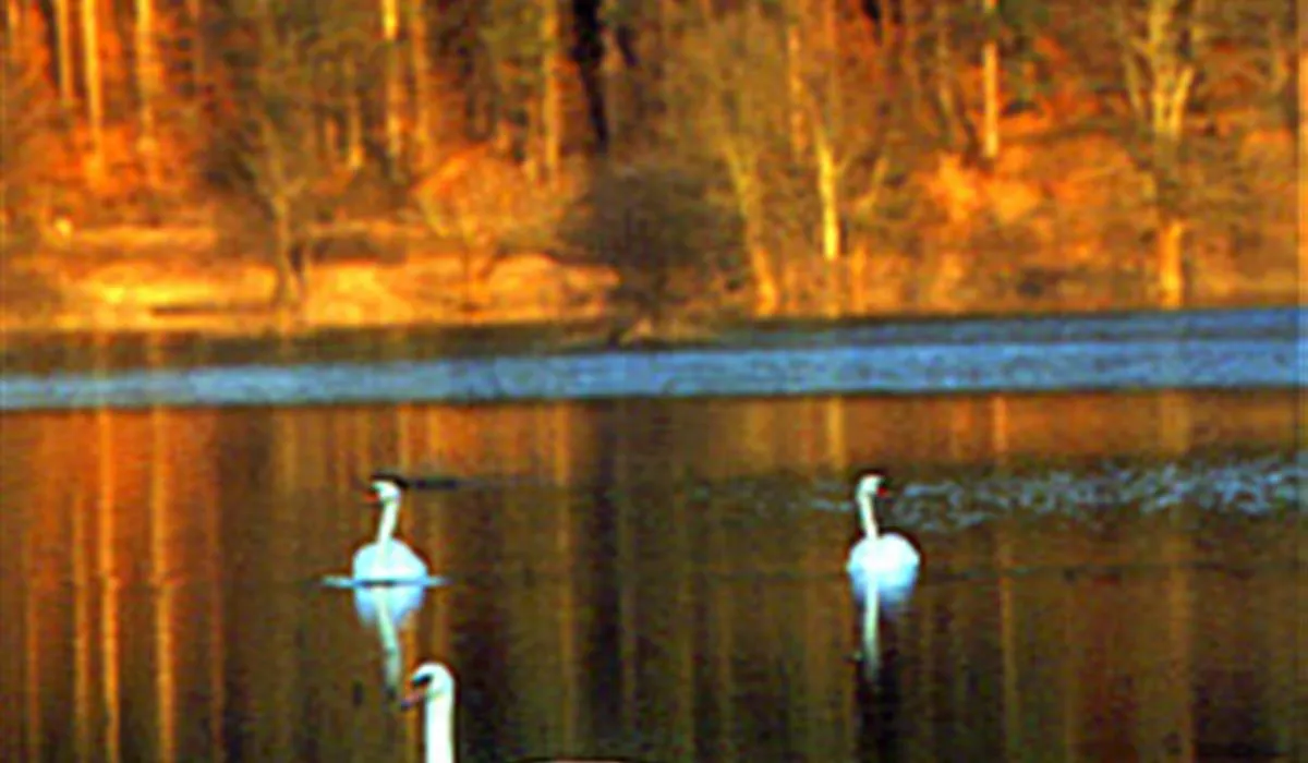 camping-pivka-jama-postojna-rsnlv