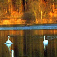 camping-pivka-jama-postojna-rsnlv