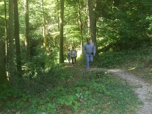 camping-pivka-jama-postojna-skamh
