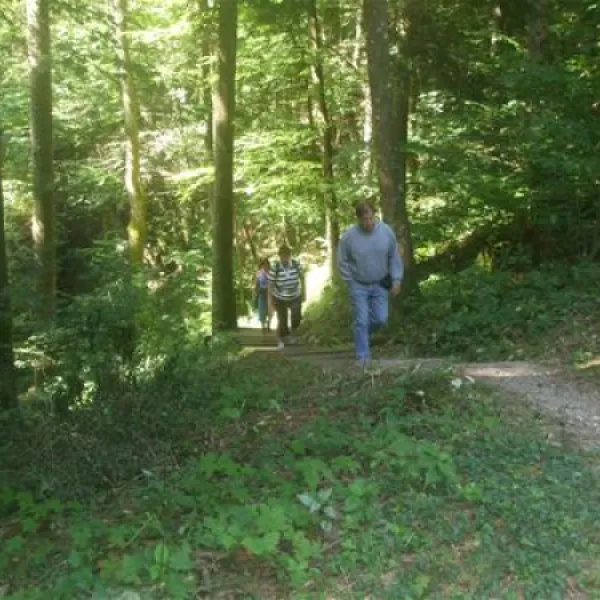 camping-pivka-jama-postojna-skamh