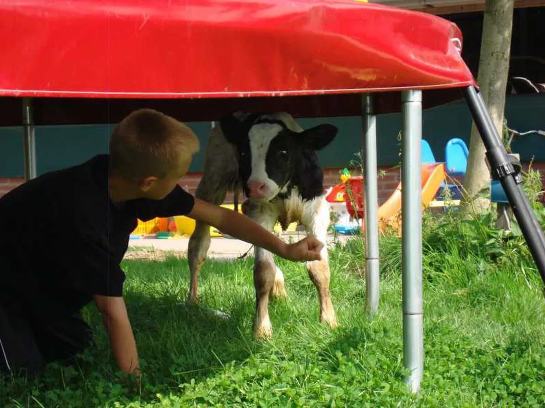 natuurcamping-de-boerderij-oudewater-cugvz