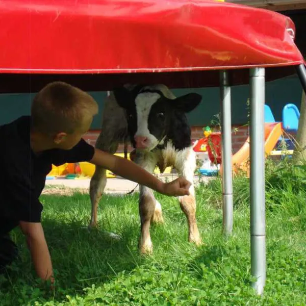 natuurcamping-de-boerderij-oudewater-cugvz
