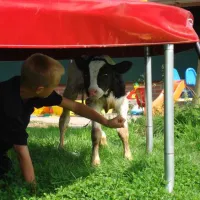 natuurcamping-de-boerderij-oudewater-cugvz