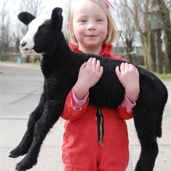 Natuurcamping De Boerderij