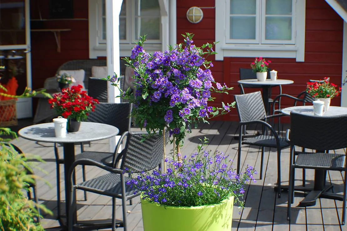 bie-apartment-feriesenter-as-grimstad-e7xum