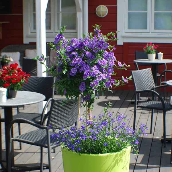 bie-apartment-feriesenter-as-grimstad-e7xum
