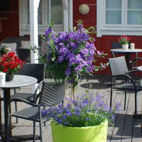 bie-apartment-feriesenter-as-grimstad-e7xum