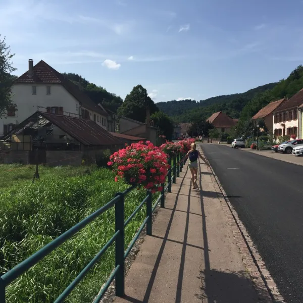 camping-municipal-les-bouleaux-rombach-le-franc-wxidk