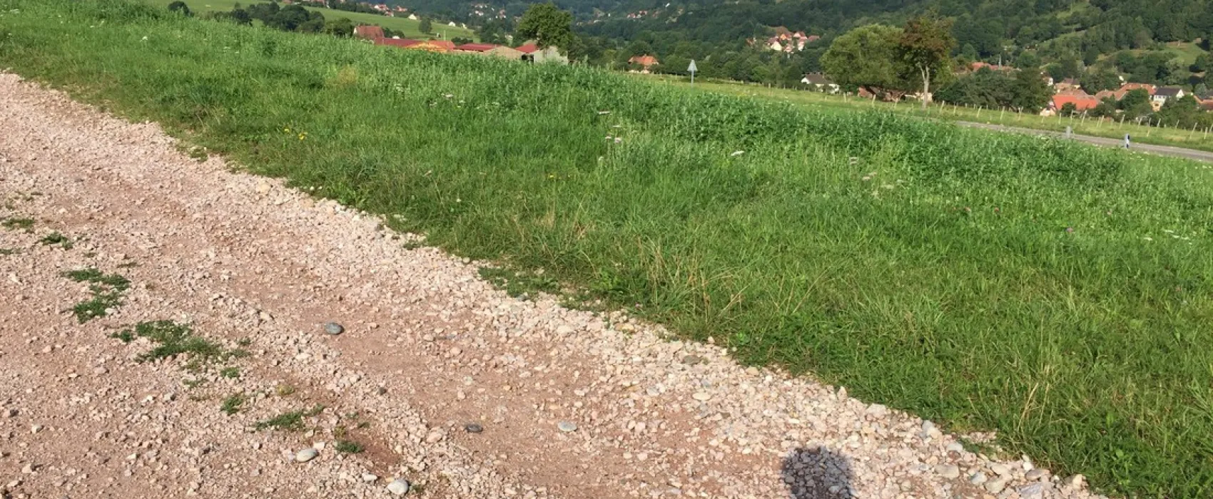 Camping Municipal Les Bouleaux
