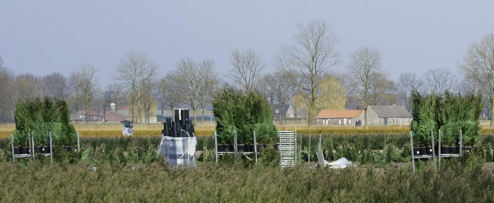 Camping de Koehorn