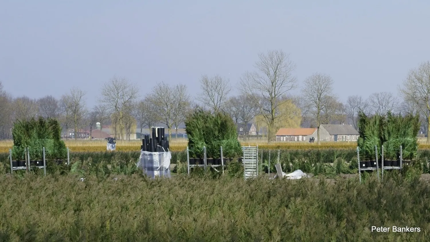camping-de-koehorn-deurne-vr39u