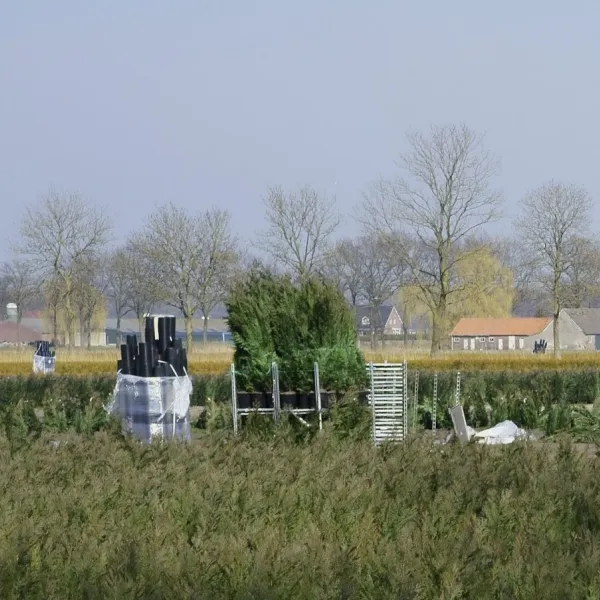 camping-de-koehorn-deurne-vr39u