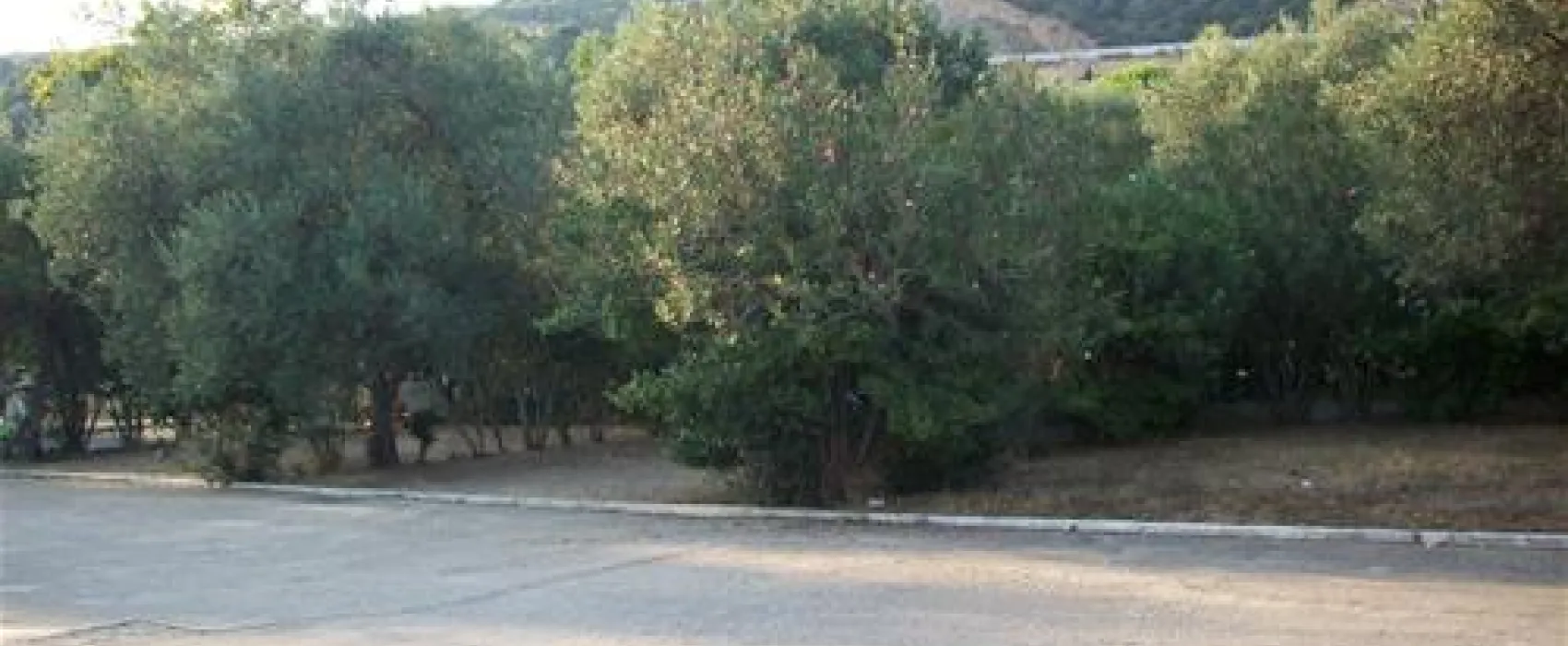Campsite Achilles