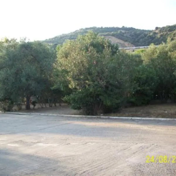 campsite-achilles-asprovalta-5ajmv