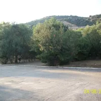 campsite-achilles-asprovalta-5ajmv